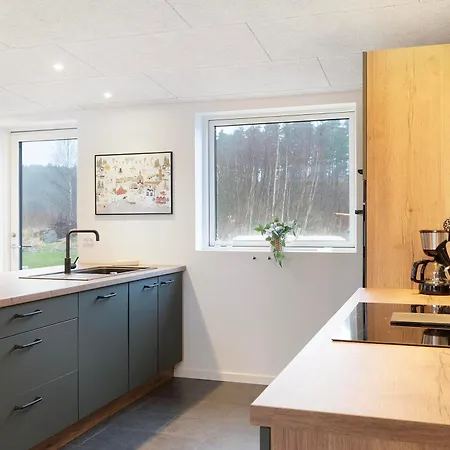 Newly Built For 8 People Close To Сasa de vacaciones Ebeltoft